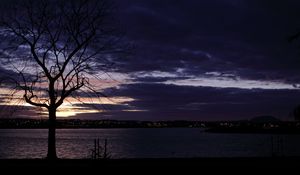 Preview wallpaper tree, silhouette, water, lights, sunset