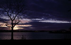 Preview wallpaper tree, silhouette, water, lights, sunset