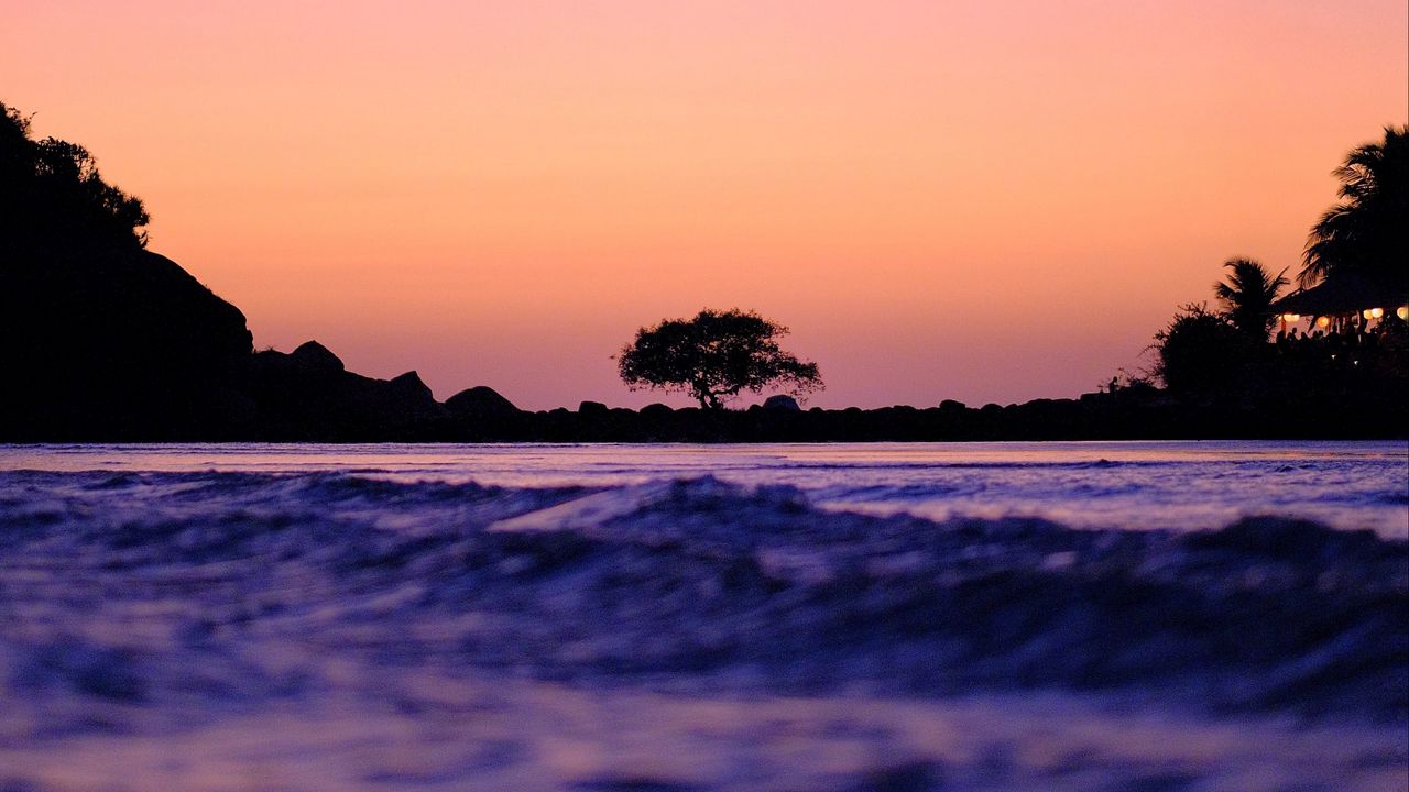 Wallpaper tree, silhouette, waves, shore, dusk, dark