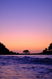 Preview wallpaper tree, silhouette, waves, shore, dusk, dark