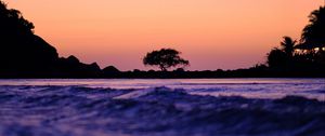 Preview wallpaper tree, silhouette, waves, shore, dusk, dark