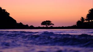 Preview wallpaper tree, silhouette, waves, shore, dusk, dark
