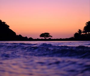 Preview wallpaper tree, silhouette, waves, shore, dusk, dark