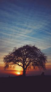 Preview wallpaper tree, silhouettes, sunset, sky, horizon, idyll