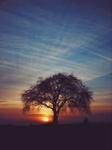 Preview wallpaper tree, silhouettes, sunset, sky, horizon, idyll