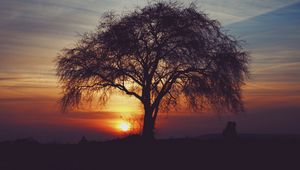 Preview wallpaper tree, silhouettes, sunset, sky, horizon, idyll