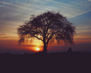 Preview wallpaper tree, silhouettes, sunset, sky, horizon, idyll
