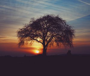 Preview wallpaper tree, silhouettes, sunset, sky, horizon, idyll