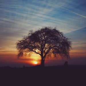 Preview wallpaper tree, silhouettes, sunset, sky, horizon, idyll