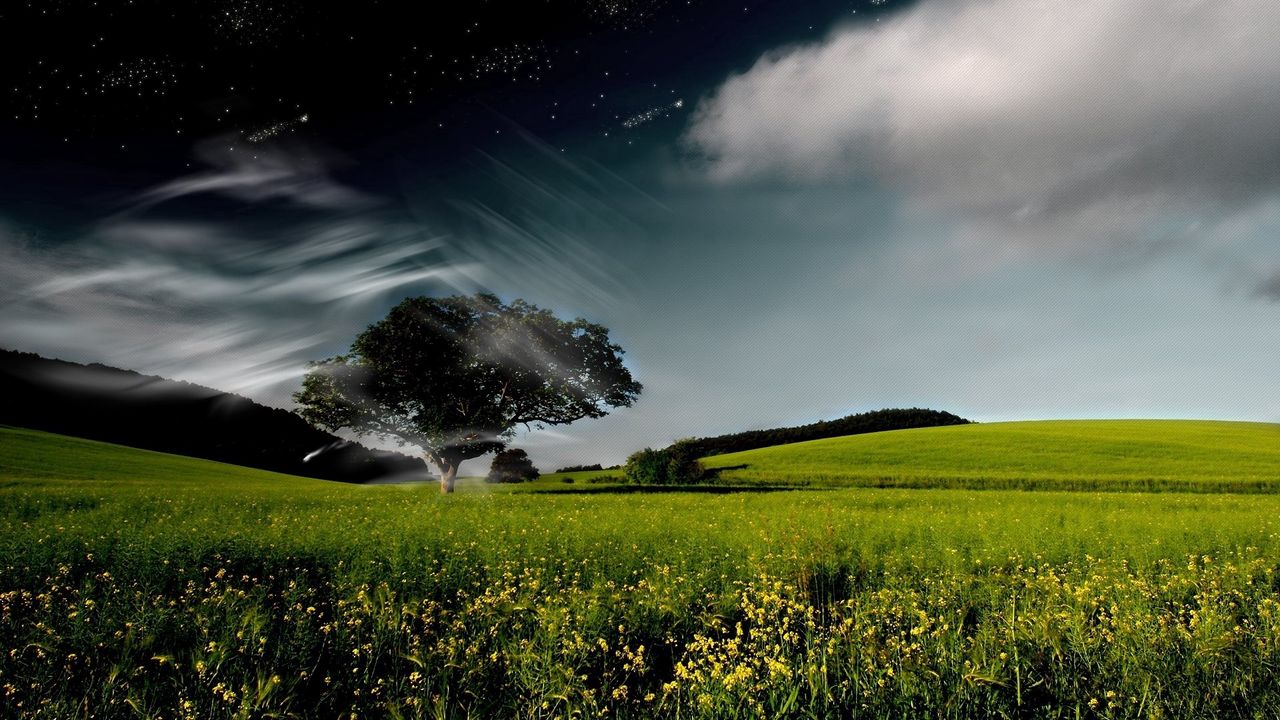Wallpaper tree, sky, clouds, whirlwind, day, night, stars