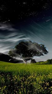 Preview wallpaper tree, sky, clouds, whirlwind, day, night, stars