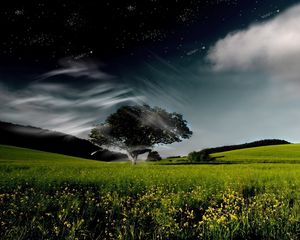 Preview wallpaper tree, sky, clouds, whirlwind, day, night, stars