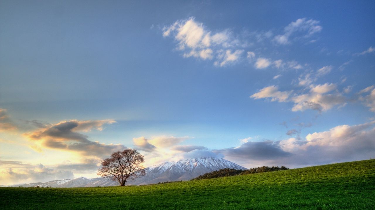 Wallpaper tree, sky, clouds, meadow