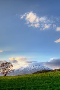 Preview wallpaper tree, sky, clouds, meadow