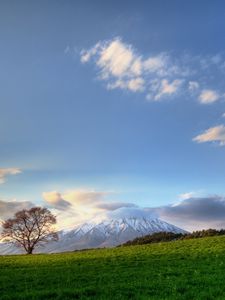 Preview wallpaper tree, sky, clouds, meadow