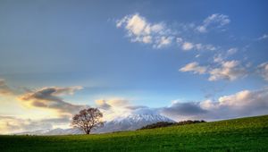 Preview wallpaper tree, sky, clouds, meadow