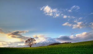 Preview wallpaper tree, sky, clouds, meadow