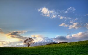 Preview wallpaper tree, sky, clouds, meadow