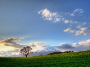 Preview wallpaper tree, sky, clouds, meadow