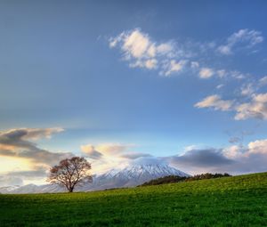 Preview wallpaper tree, sky, clouds, meadow