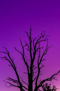 Preview wallpaper tree, sky, dusk, minimalism, purple