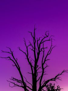 Preview wallpaper tree, sky, dusk, minimalism, purple