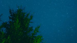 Preview wallpaper tree, sky, stars, night