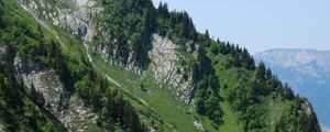 Preview wallpaper tree, slope, mountain, grass