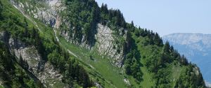 Preview wallpaper tree, slope, mountain, grass