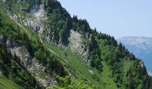 Preview wallpaper tree, slope, mountain, grass