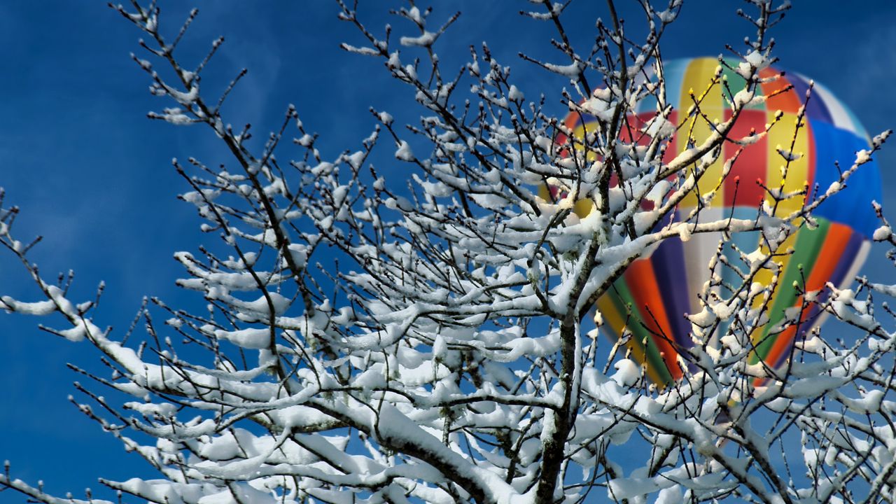 Wallpaper tree, snow, air balloon, winter hd, picture, image