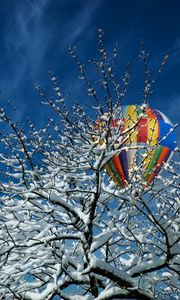 Preview wallpaper tree, snow, air balloon, winter