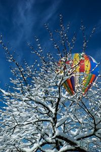Preview wallpaper tree, snow, air balloon, winter