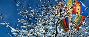 Preview wallpaper tree, snow, air balloon, winter