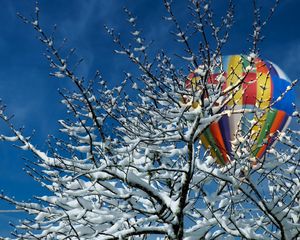 Preview wallpaper tree, snow, air balloon, winter