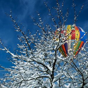 Preview wallpaper tree, snow, air balloon, winter