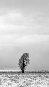 Preview wallpaper tree, snow, bw, minimalism, winter