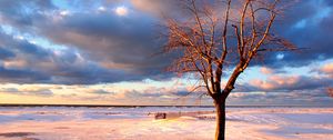 Preview wallpaper tree, snow, fence, desert