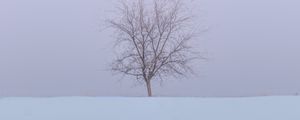 Preview wallpaper tree, snow, field, winter, minimalism, nature