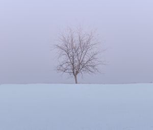 Preview wallpaper tree, snow, field, winter, minimalism, nature
