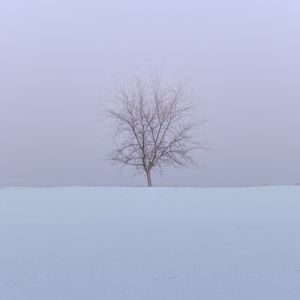 Preview wallpaper tree, snow, field, winter, minimalism, nature