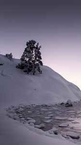 Preview wallpaper tree, snow, hill, lake, ice, winter