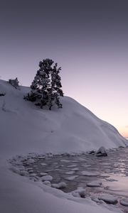 Preview wallpaper tree, snow, hill, lake, ice, winter