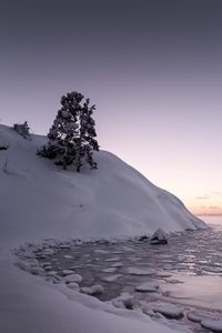 Preview wallpaper tree, snow, hill, lake, ice, winter