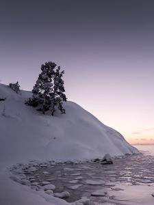 Preview wallpaper tree, snow, hill, lake, ice, winter