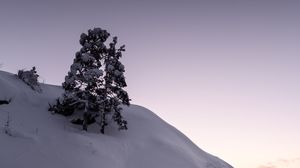 Preview wallpaper tree, snow, hill, lake, ice, winter