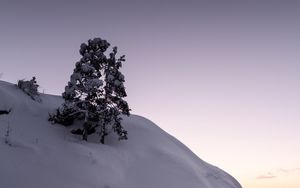 Preview wallpaper tree, snow, hill, lake, ice, winter