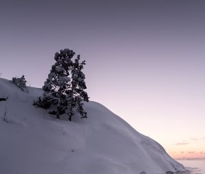 Preview wallpaper tree, snow, hill, lake, ice, winter