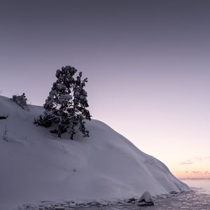 Preview wallpaper tree, snow, hill, lake, ice, winter