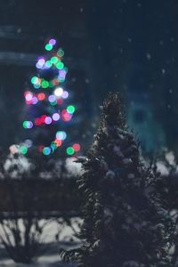 Preview wallpaper tree, snow, lights, glare, night
